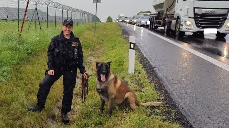 Opilý cizinec se po nehodě skryl v kukuřici, policie na něj poslala psa